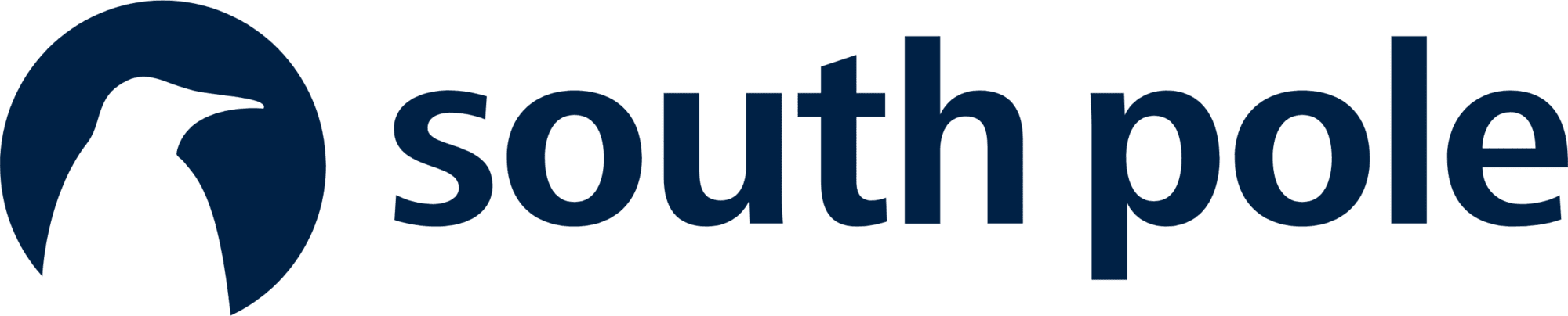icon south pole