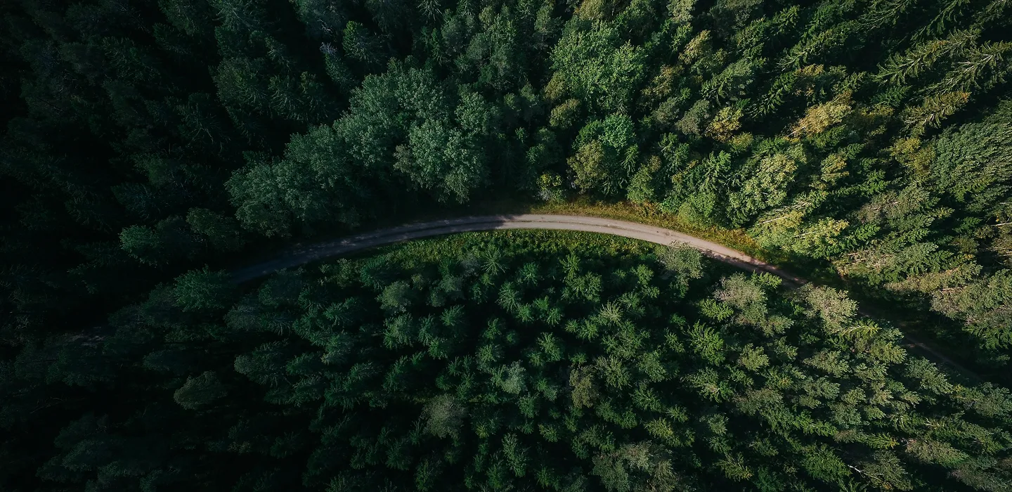 Aerial view of road through forest.