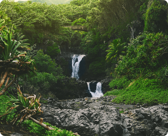 Tropical waterfall with stone bridge.