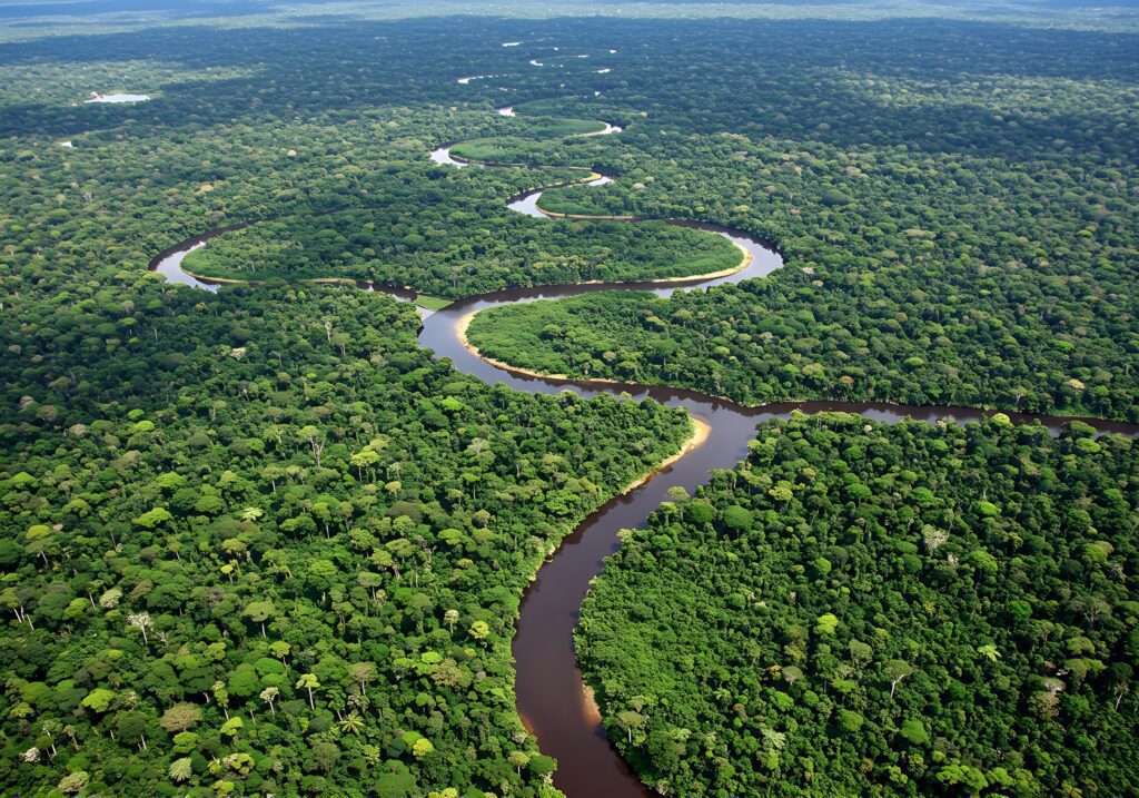 Amazonia,,Forest