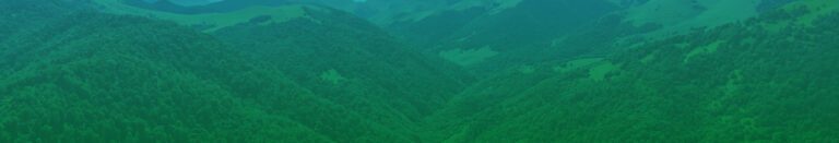 header news