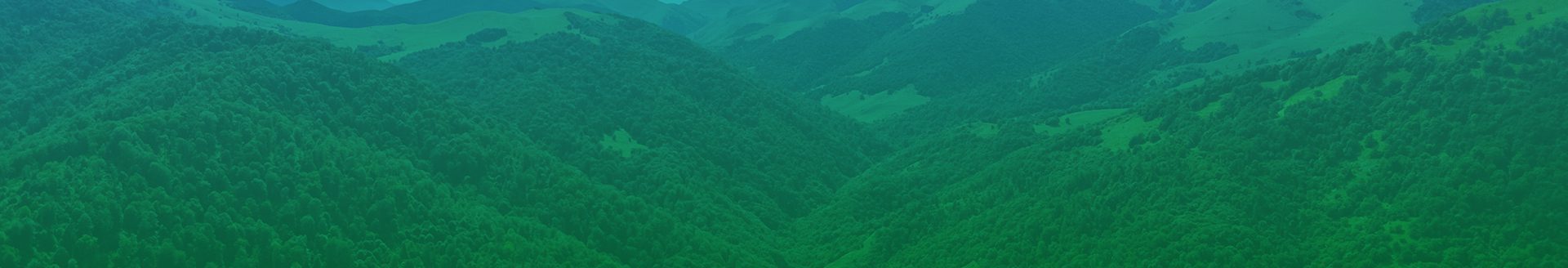 header news